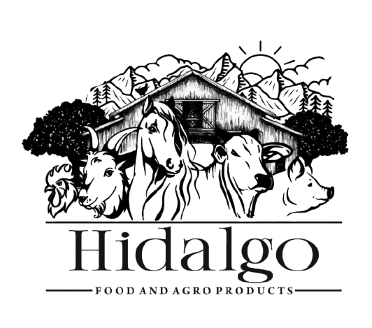 Hidalgo Enterprises Logo