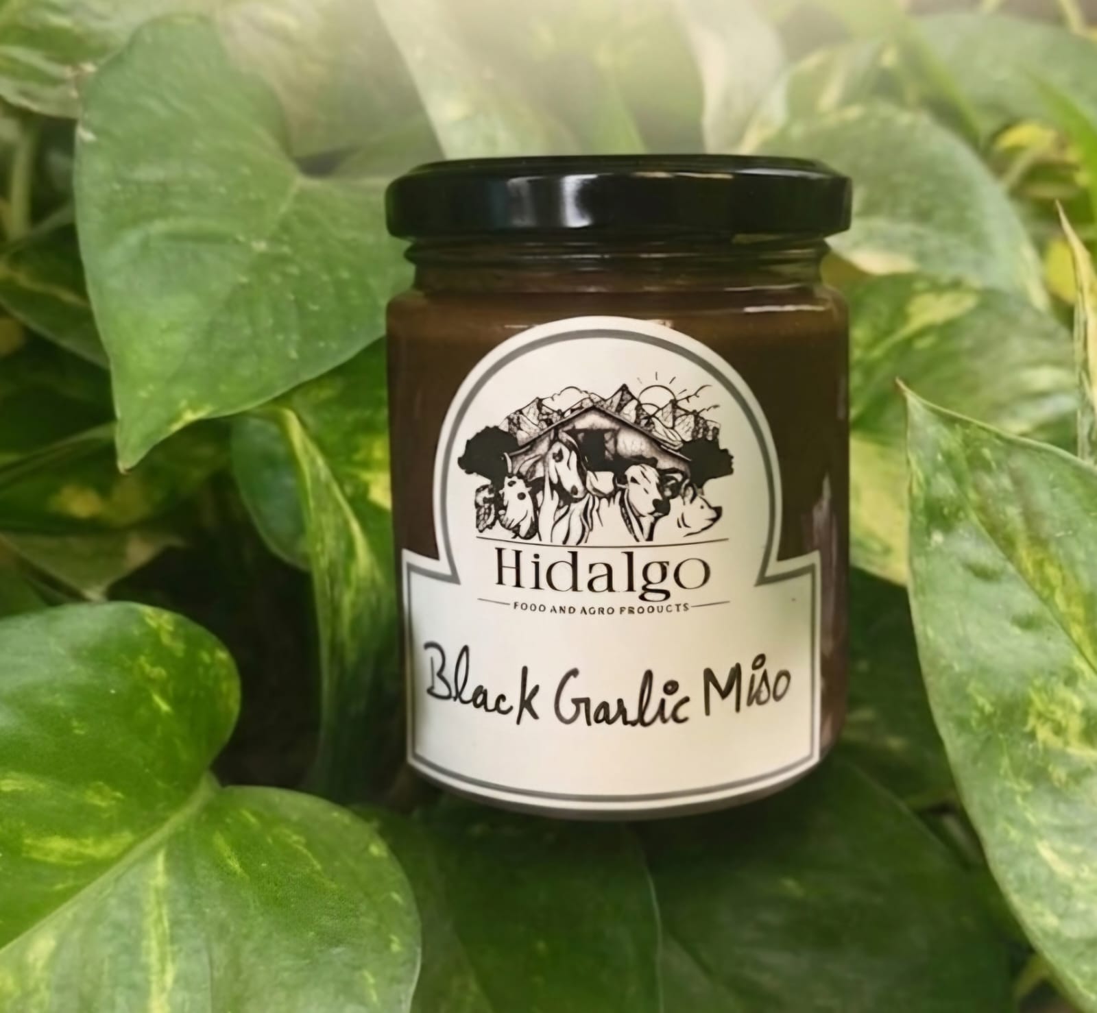Black Garlic Miso Paste